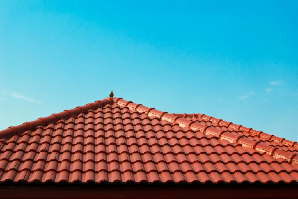 image of a new roof after replacement